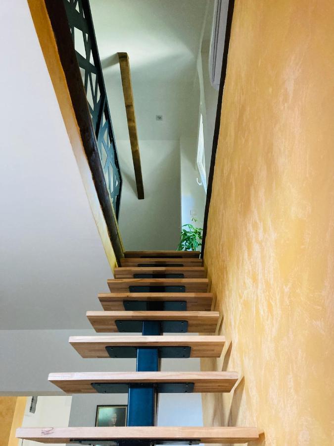 Enjoy Gardos Apartment 贝尔格莱德 外观 照片